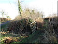 Llwybr yn gadael yr heol / Path exiting the road