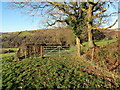 Llwybr i Dafarn y Cwm / Path to Tafarn y Cwm