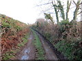 Heol ddiwyneb ger Tynewydd / Unsurfaced road near Tynewydd