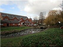 SK5319 : Pond and Charnwood Museum, Queen's Park, Loughborough by Jonathan Thacker