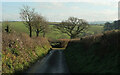 Lane to Harbourne valley
