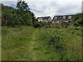 Houses on the edge of Lower Harlech