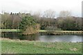 Fishpond near Beck Side Farm