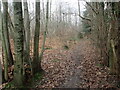 Footpath into Hurst Wood