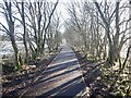 New surface, Strathkelvin Railway Walk