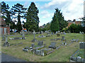 TQ1386 : In Eastcote Lane Cemetery by Robin Webster