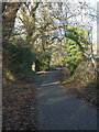 National Cycle Route 885 between Glanrhyd and Pen-y-cae