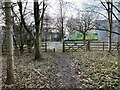 Path from woodland onto Weston Road