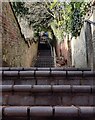 The Granary Steps in Bridgnorth