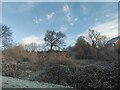 View from Reef Way on a Frosty Morning