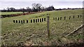 NY4956 : Moles on fence on west side of rural road NE of Corry House by Luke Shaw