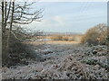 SZ1596 : A very frosty morning in the Avon valley by Rod Allday