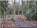 Footbridge in Quaker