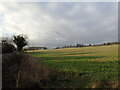 View from Chartham Cemetery