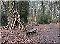 Bench in Quaker