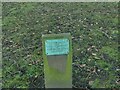 Tree plaque in Sutton Park