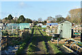 Allotments beside Commercial Road, Staines