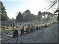 A frosty morning in Boscombe East Cemetery