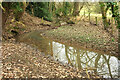 Stream near Hook Norton