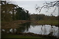 SJ5509 : River Tern, Attingham Park by Christopher Hilton