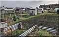 Allotments