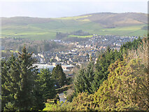 NT4936 : Galashiels from the northeast by Jim Barton