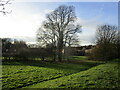 Old field boundary off Scampton Road, Worksop