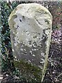 Milestone in Garden, Burbage