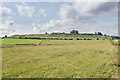 Towards Old Sarum