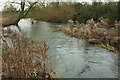 SP2811 : River Windrush at Swinbrook by Derek Harper