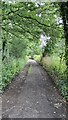 Public footpath from Featherbed Lane to Rucklers Lane, Shendish