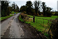 Muddy along Cavan Road