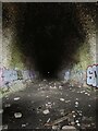 TL1144 : Old Warden Railway Tunnel by PAUL FARMER