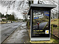 Cycle Ireland display panel, Omagh