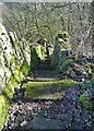 Steps down to the mills at Booth Wood