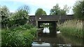 Mute swan at Cross Keys bridge [no 83A]