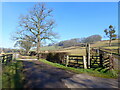 Track that is also a footpath, Pentre, near Llangwm