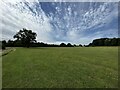 Halsey Field, Chiltern Nature Reserve