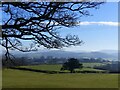 SO3903 : View across a field to a tree, and the Monmouthshire countryside by Ruth Sharville