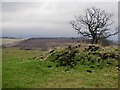 Former boundary, Gartgreenie