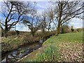 Church Hill Brook at the foot of Glan-reed