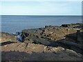 NZ3189 : Coastal rocks near Beacon Point by Oliver Dixon