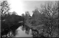 The River Colne seen from the footbridge near the John Smith