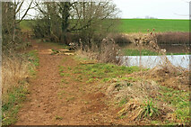 SP3634 : D'Arcy Dalton Way passing pond by Derek Harper