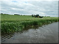 SJ9319 : Haymaking, east of Roseford Farm by Christine Johnstone