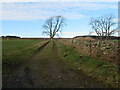 Field track at Upper Blainslie