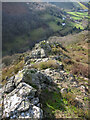 Ridge above Mytton Dingle