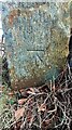 Benchmark on gatepost at gateway on south side of How Street near Townhead junction