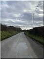 Country lane towards Camrose