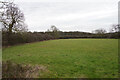 Looking towards Hookhill Wood